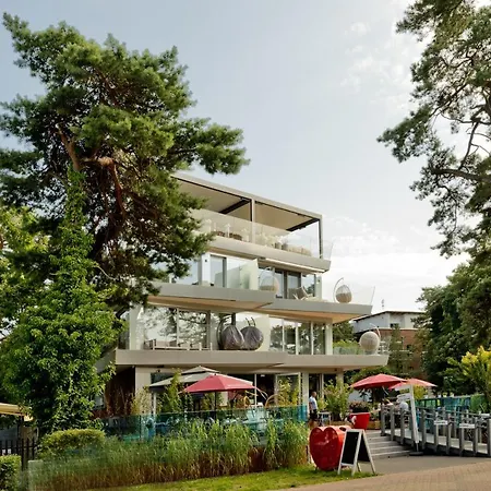 Bursztyn Blueapart *